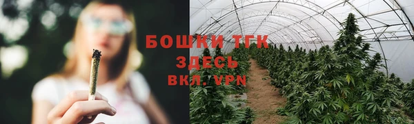 mdpv Бородино