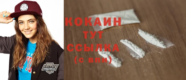 mdpv Бородино