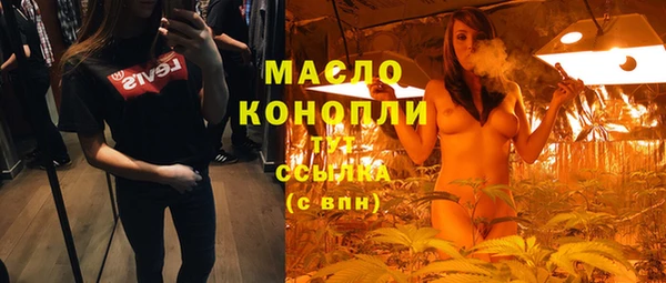 mdpv Бородино