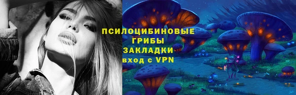 mdpv Бородино